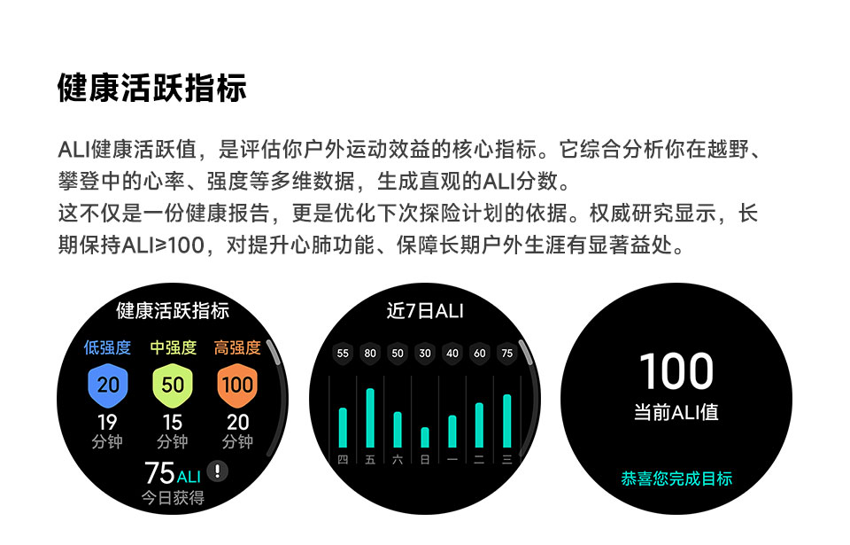 X2 Pro 智能手表(图11)